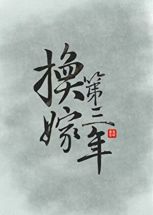 《换嫁第三年》