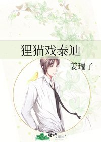 《狸猫戏泰迪》