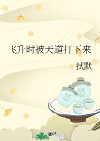 飞升时被天道打下来