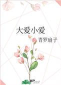 《大爱小爱》