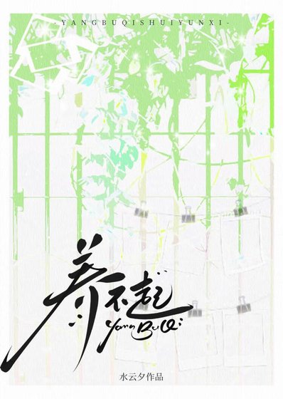 养不起