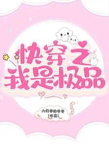 《芬穿之我是极品》