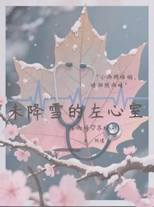 《未降雪的左心室》