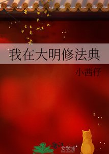 《我在大明修法典》
