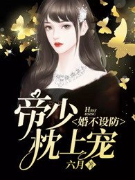 《婚不设防:帝少枕上宠》