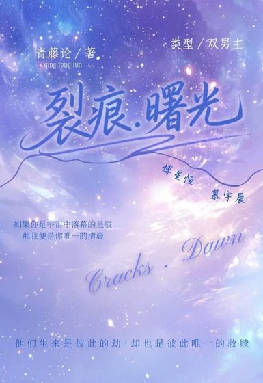 《裂痕.曙光》