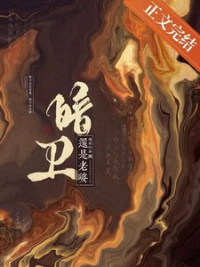 暗卫还是老婆