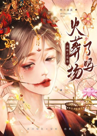 《太子火葬场实录》