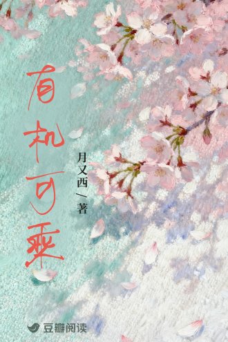 《有机可乘》