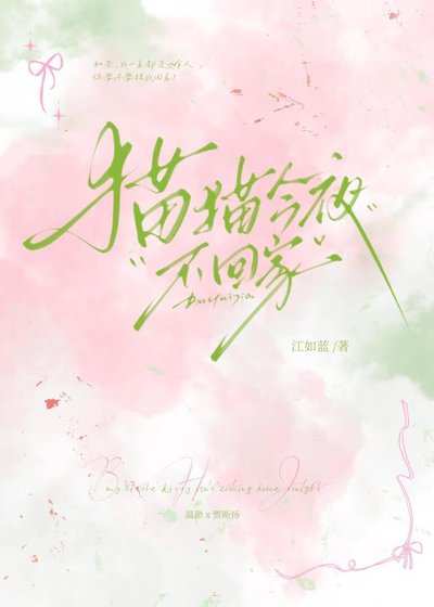 《猫猫今夜不回家》