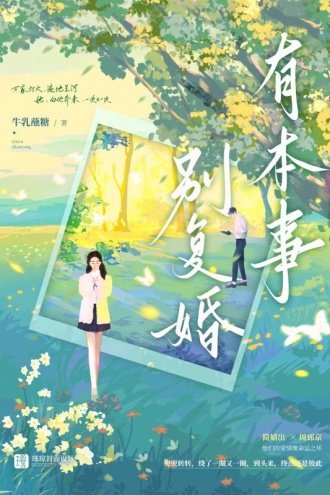 《有本事别复婚》