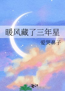 《暖风藏了三年星》