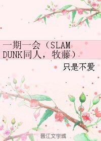 《(BL/SLAM DUNK同人)一期一会(牧藤)》