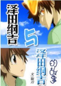 《(BL/家教同人)泽田纲吉与泽田纲吉的故事》