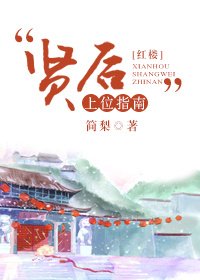 《(BG/红楼同人)“贤后”上位指南》