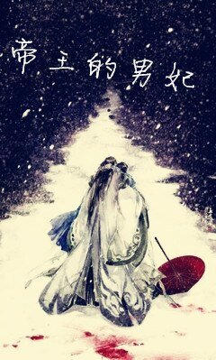 帝王的男妃
