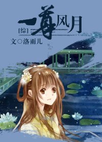 《(综同人/BG)一尊风月》