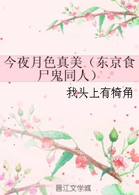 《(BL/东京食尸鬼同人)今夜月色真美》