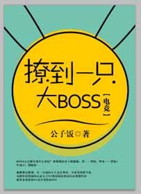 撩到一只大BOSS[电竞]