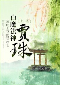 《(BG/红楼同人)红楼之白魔法神贾珠》