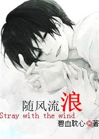 《随风流浪》