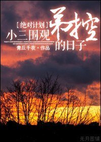 （绝对计划同人）小三围观弟控的日子！