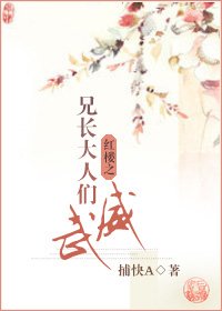 《(红楼同人)红楼之兄长大人们威武》