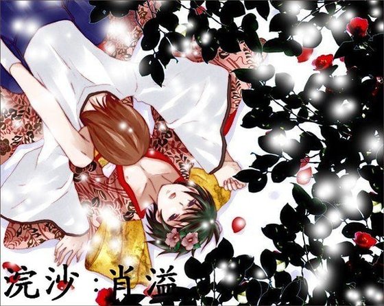 《(网王同人)浣沙》