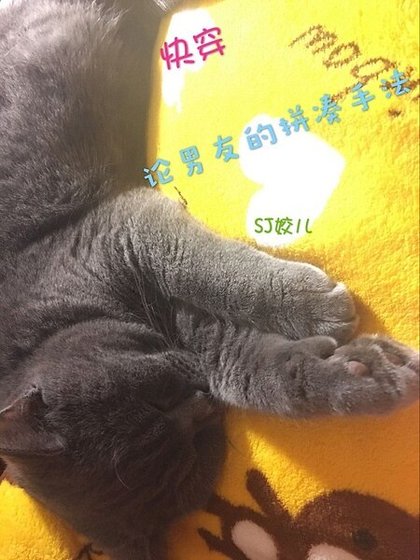 《快穿-论男友的拼凑手法》