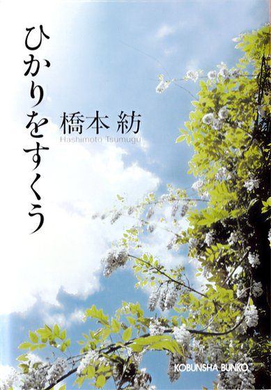 《掬光》