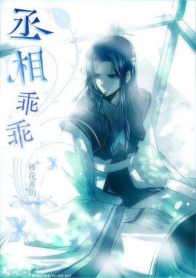 《丞相乖乖,不要跑+不得不为皇》