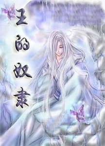 《(网王)王的奴隶》