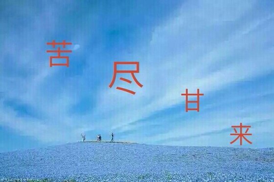 《苦尽甘来》