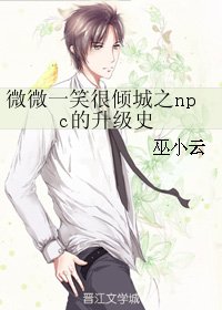 《(微微一笑同人)微微一笑很倾城之npc的升级史》