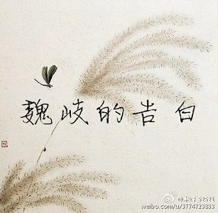 魏岐的告白