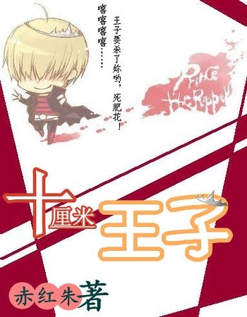 《(家教同人)十厘米王子》