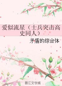 《(士兵突击高史同人)爱似流星》