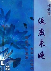流岁未晚