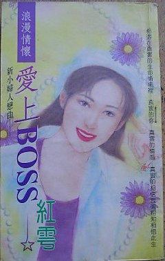 《爱上Boss(新小妇人恋曲之一)》