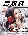 《替欢奴》