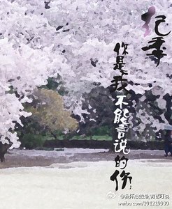 纪季，你是我不能言说的伤