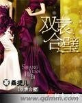 《双袁合璧》