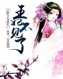 《报告王爷将军:王妃不见了》