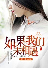 《如果我们未相遇》