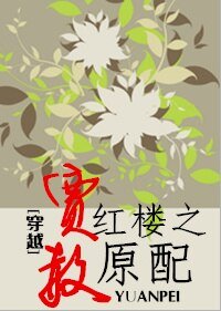 《(BG/红楼同人)穿越红楼之贾赦原配》
