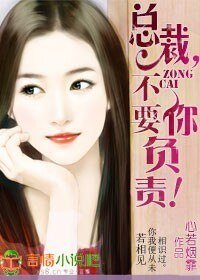 总裁，不要你负责！