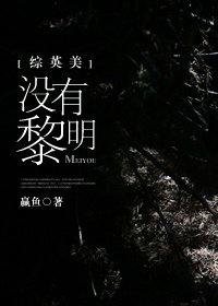 《(BG/英美剧同人)没有黎明》