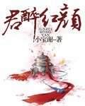 《君醉红颜》