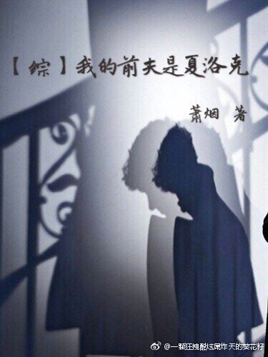 （BG/综英美同人）[综]我的前夫是夏洛克