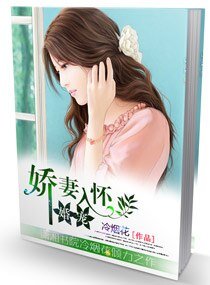 《婚宠,娇妻入怀/长官,诱妻成性》